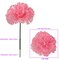 100-Pack: Pink Carnation Picks, 5" Stems, 3.5" Wide, Floral Home by Artificial Flowers